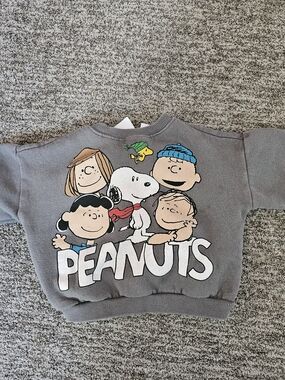 Zara Gray Peanuts Graphic Kids Sweatshirt - Snoopy & Friends